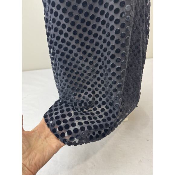 Ann Taylor Loft Velvet Polka Dot Top Sheer Lined Tank Top Formal Women's Size XS - Picture 3 of 10